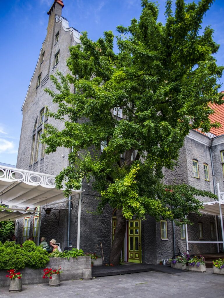 Hea restoran Hea Maa – Ise tehtud, hästi tehtud blogi